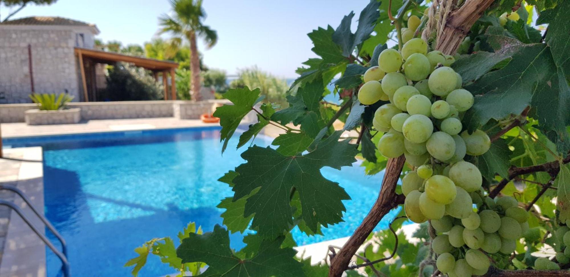 Villa Sealine Pefki Oda fotoğraf