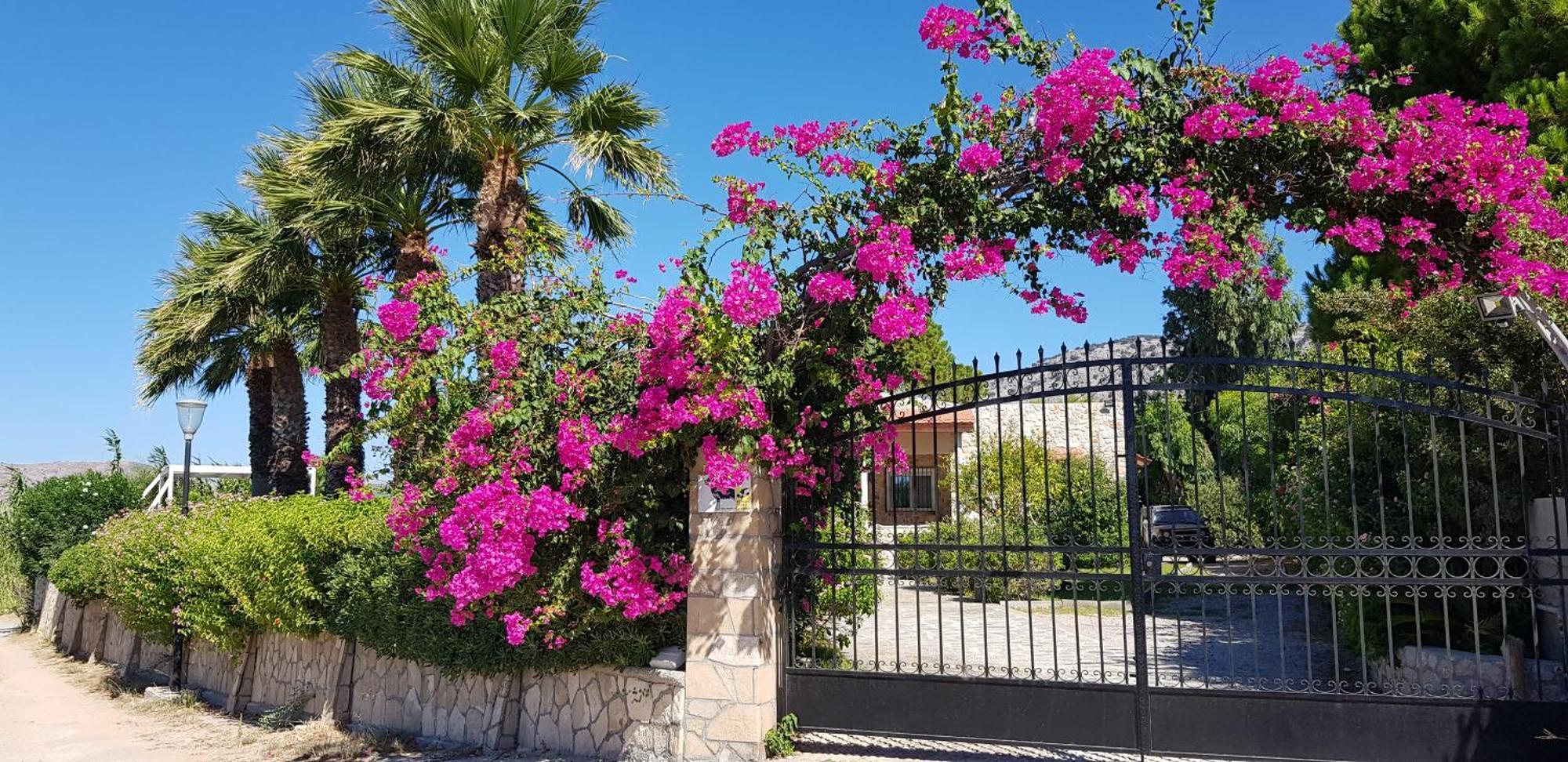 Villa Sealine Pefki Oda fotoğraf